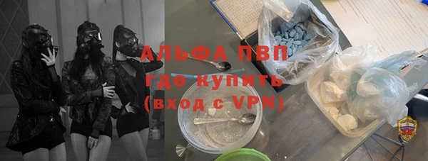 spice Вяземский