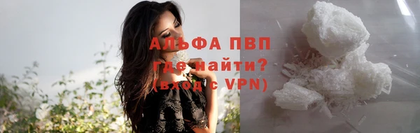 spice Вяземский