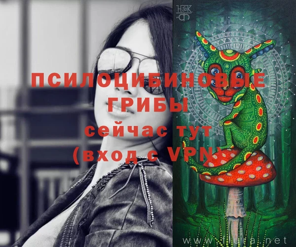 бутират Вязники