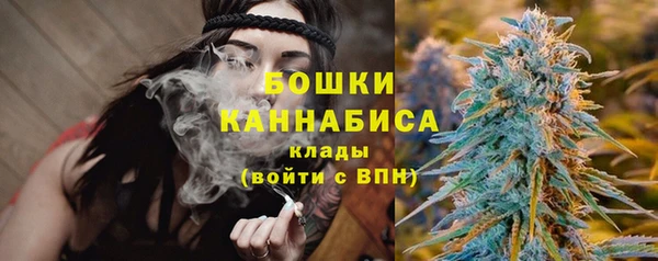 spice Вяземский