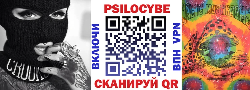 Галлюциногенные грибы Psilocybe  Знаменск 